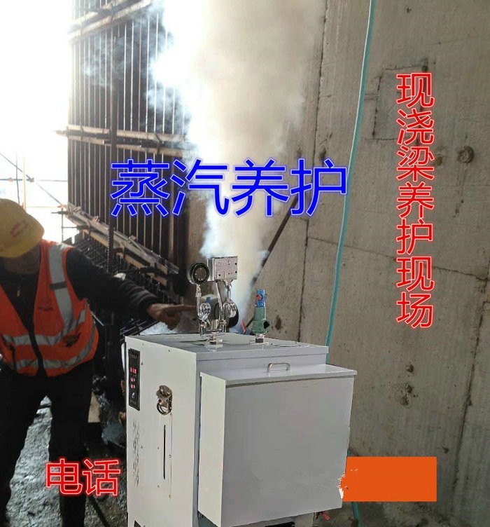 山東橋梁養(yǎng)護用電蒸汽發(fā)生器